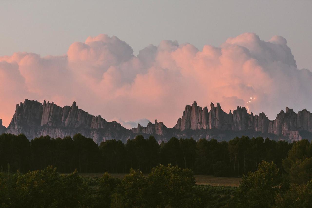 Вилла Les Cabanes De L'Oller Del Mas Манреса Экстерьер фото